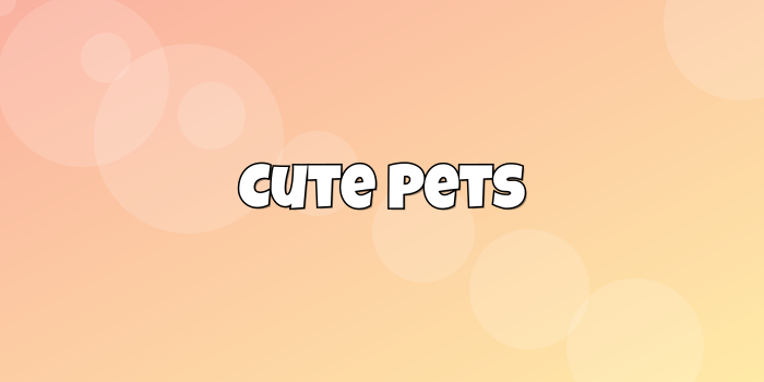 Cute Pets